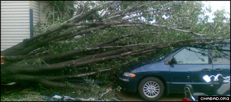 A downed tree rests on a minivan in the parking lot of a damaged Houston apartment complex after the passage of Hurricane Ike.